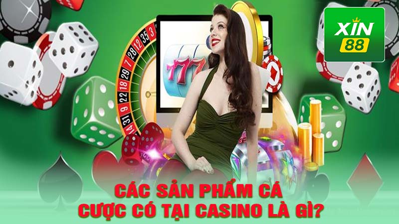 Các sản phẩm cá cược có tại casino 